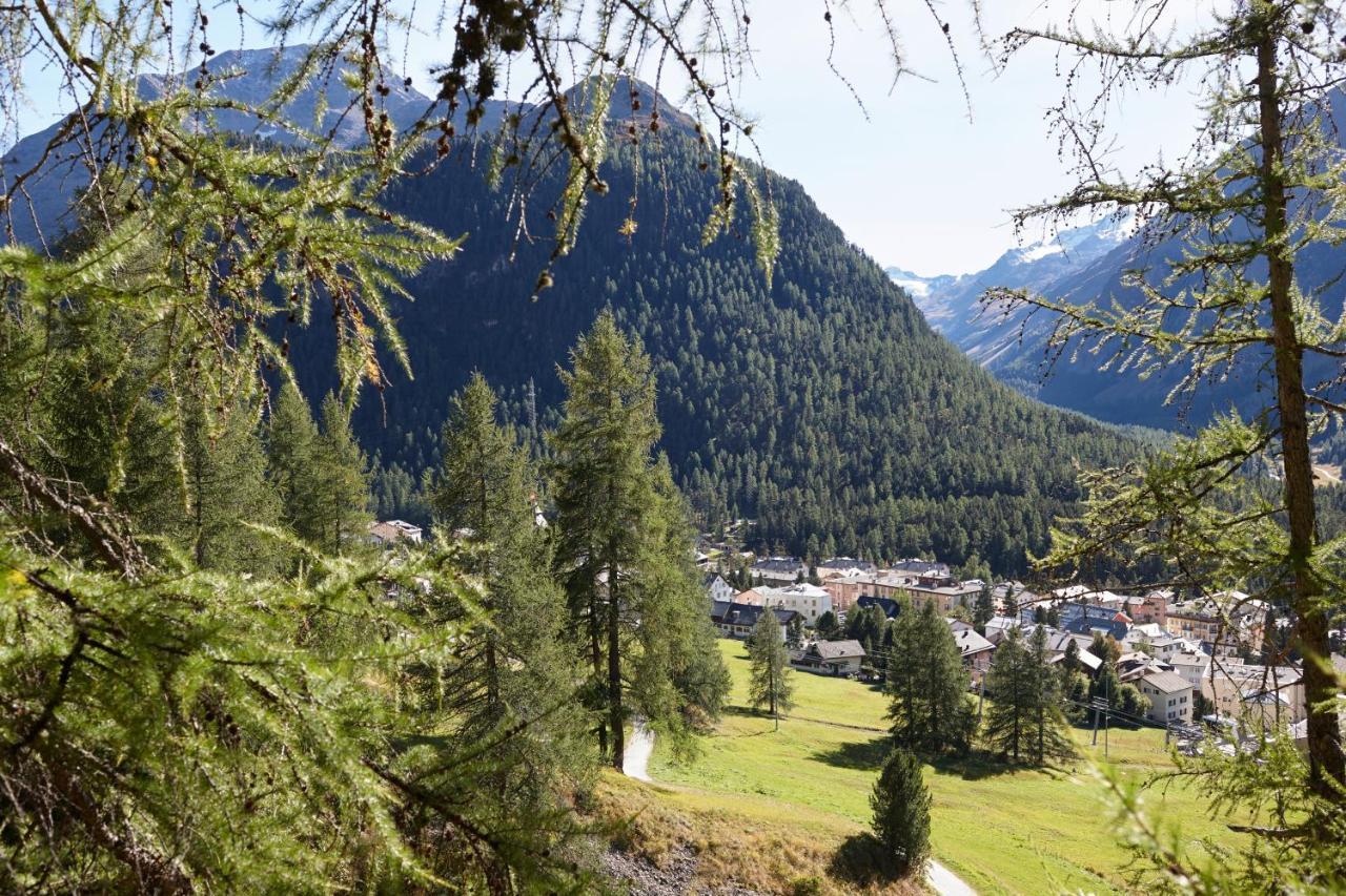 Alpine Lodge Chesa Plattner Pontresina Exterior photo